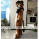 Long Fur Lion Fursuit Mascot Costume