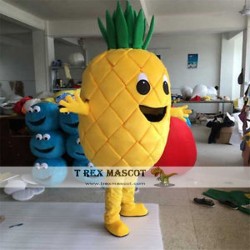 Pineapple Mascot Costume