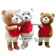 Teddy Bear Cartoon Mascot Costume