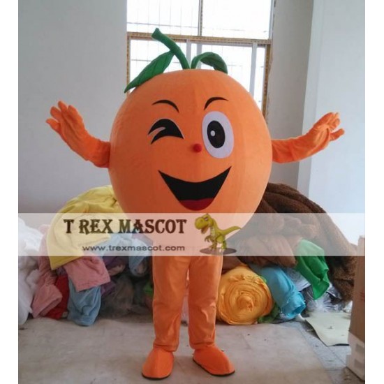 Orange Fruit Mascot Costume