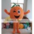 Orange Fruit Mascot Costume