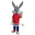 Gray Rabbit Mascot Costume