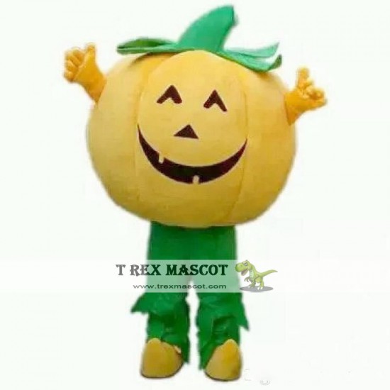 pumpkin Mascot Costume