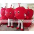 Red Apple Mascot Costume