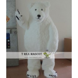 Bear Mascot Costume