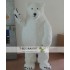 Bear Mascot Costume