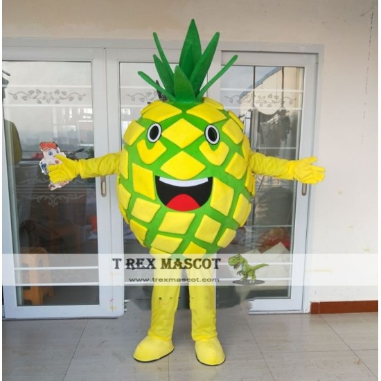 Pineapple Fruit Mascot Costume