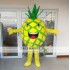 Pineapple Fruit Mascot Costume