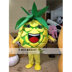 Fruit Pineapple Mascot Costume