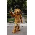 Dog Mascot Costume