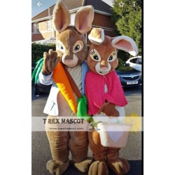 Peter Rabbit  Mascot Costume