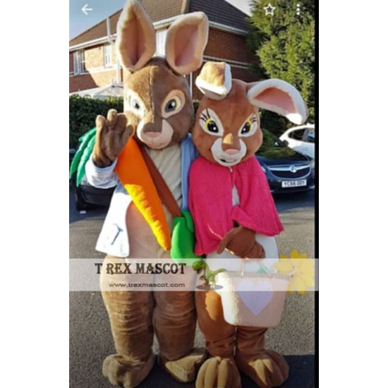 Peter Rabbit  Mascot Costume