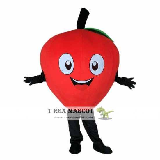 Green / Red Apple Mascot Costume