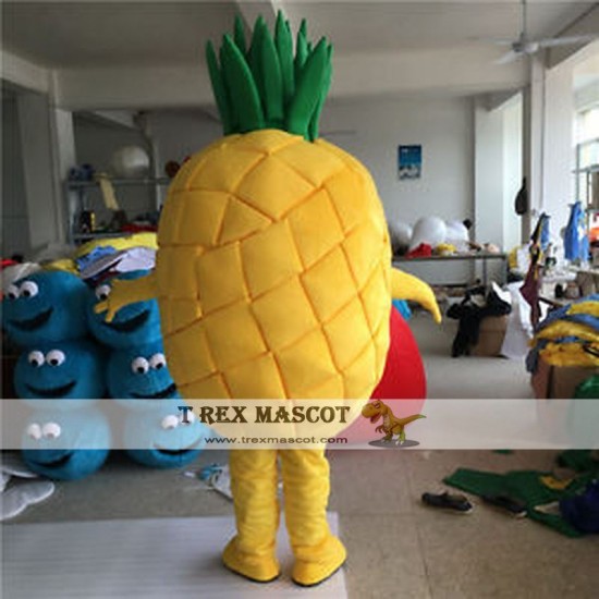 Pineapple Mascot Costume