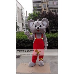 Koala Mascot Costume