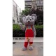 Koala Mascot Costume