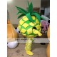 Fruit Pineapple Mascot Costume