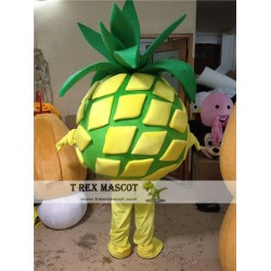 Fruit Pineapple Mascot Costume