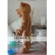 long plush lion Mascot Costume